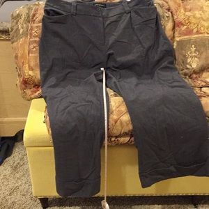 Lane Bryant 20 Petite Pants